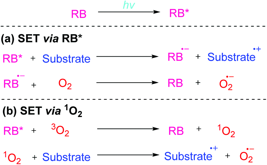 Recent advances in photocatalytic manipulations of Rose Bengal in organic  synthesis - Organic & Biomolecular Chemistry (RSC Publishing)  DOI:10.1039/C9OB00092E