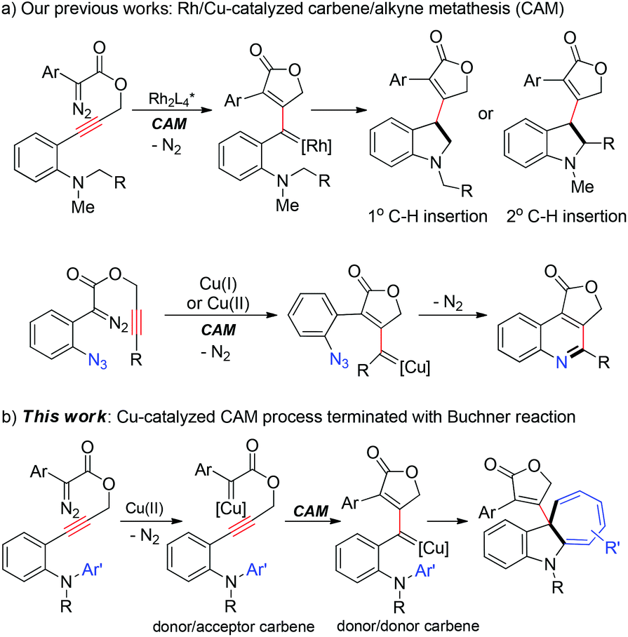 Copper Catalyzed Carbene Alkyne Metathesis Terminated With The Buchner Reaction Synthesis Of Dihydrocyclohepta B Indoles Organic Biomolecular Chemistry Rsc Publishing Doi 10 1039 C9oba