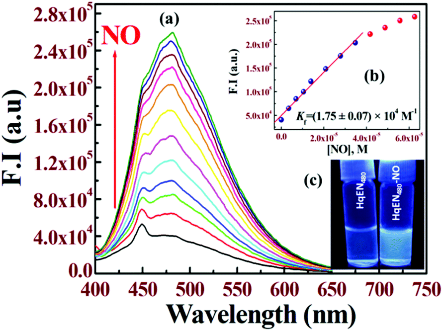 A Smart Molecular Probe For Selective Recognition Of Nitric Oxide In 100 Aqueous Solution With Cell Imaging Application And Dft Studies Organic Biomolecular Chemistry Rsc Publishing Doi 10 1039 C9obh