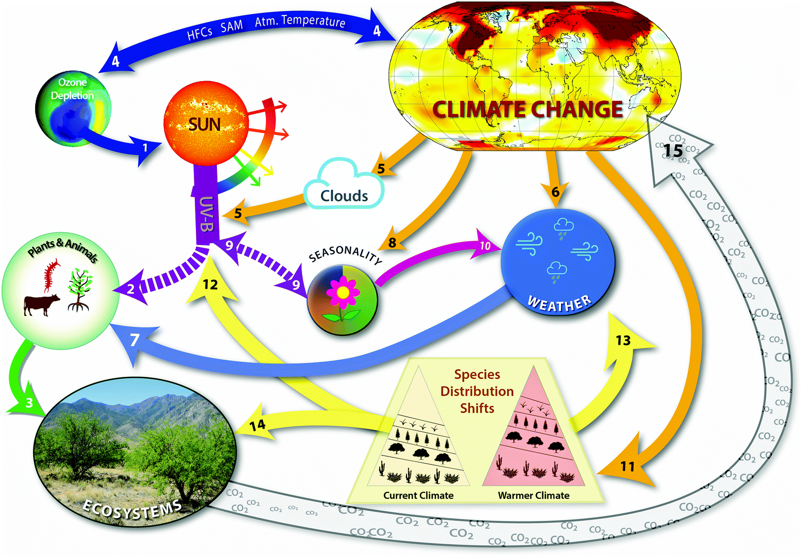 Linkages between stratospheric ozone, UV radiation and climate change and  their implications for terrestrial ecosystems - Photochemical &  Photobiological Sciences (RSC Publishing) DOI:10.1039/C8PP90061B