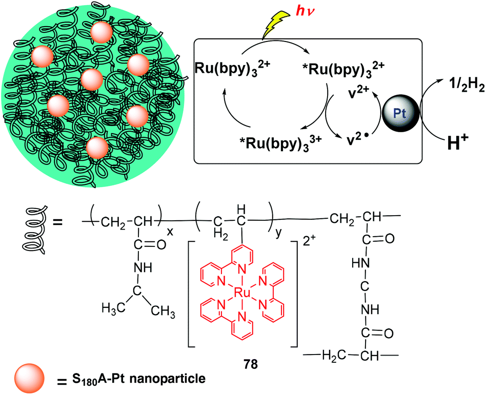 Hydrogels: soft matters in photomedicine - Photochemical