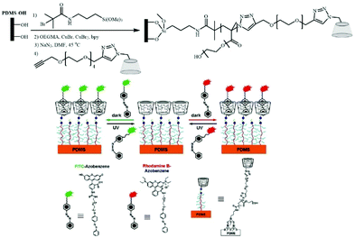 FT CD各種 Functional materials generated by allying cyclodextrin-based
