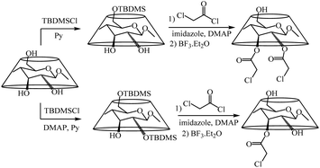 Functional materials generated by allying cyclodextrin-based