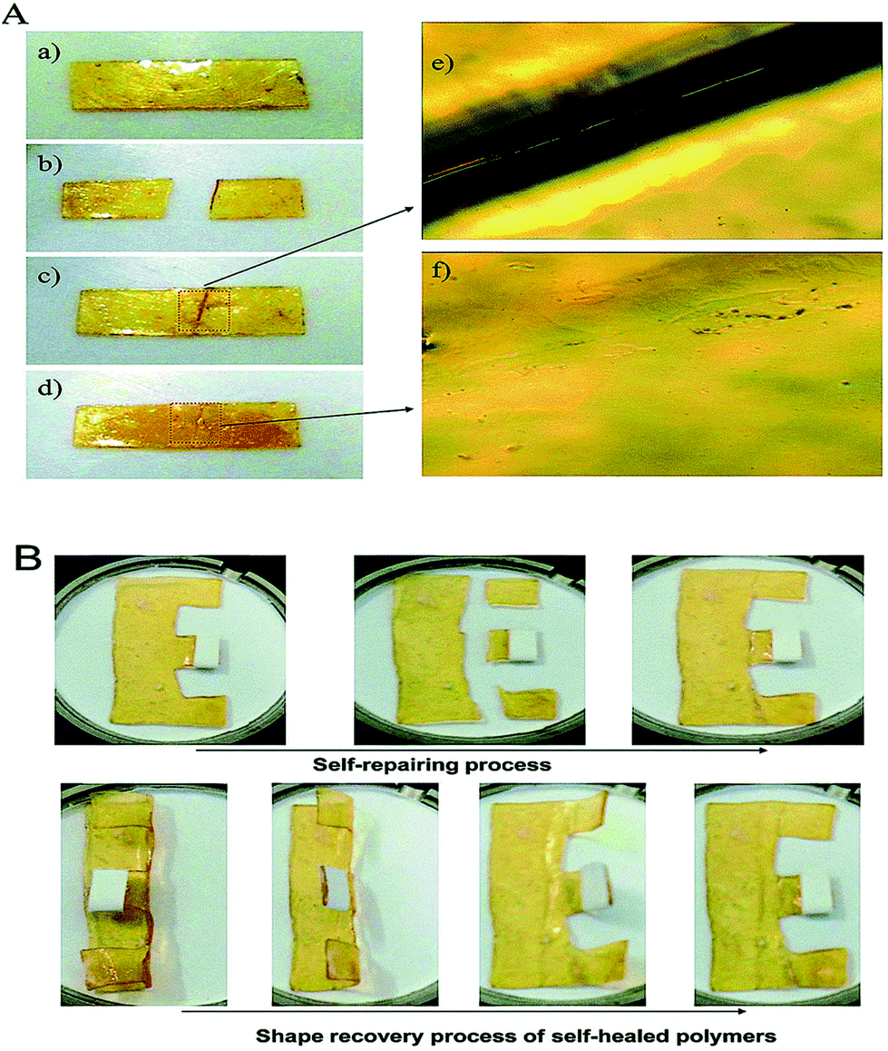 Recovery mechanism of epoxy shape memory foam