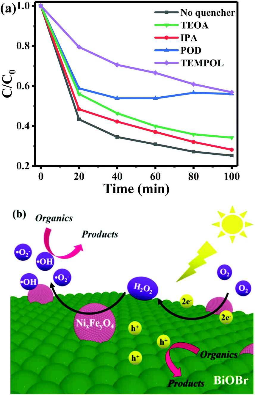 The construction of a Fenton system to achieve in situ H 2 O 2 