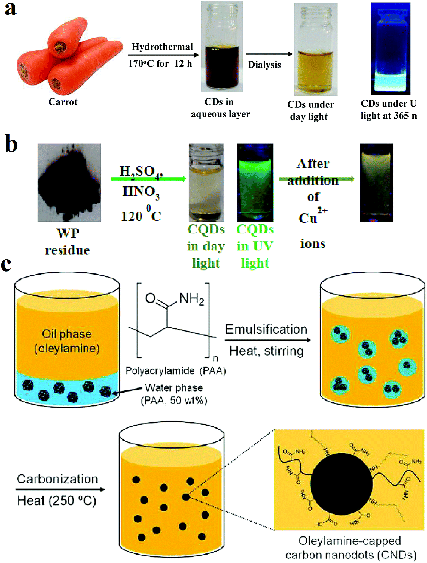 Carbon quantum dots and their biomedical and therapeutic applications: a  review - RSC Advances (RSC Publishing) DOI:10.1039/C8RA08088G