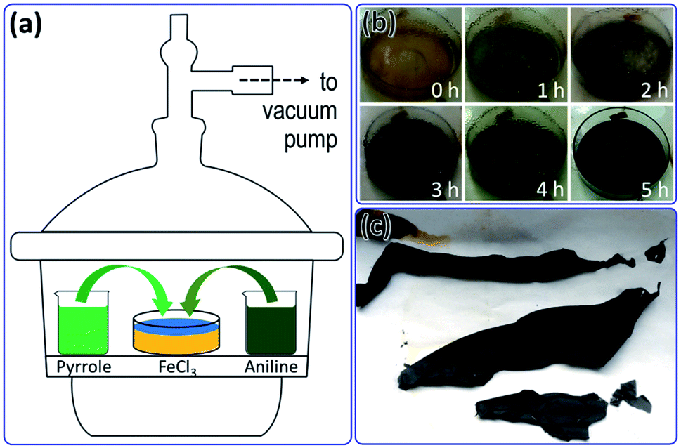 Free Standing Polypyrrole Polyaniline Composite Film Fabricated By Interfacial Polymerization At The Vapor Liquid Interface For Enhanced Hexavalent Ch Rsc Advances Rsc Publishing Doi 10 1039 C8raf