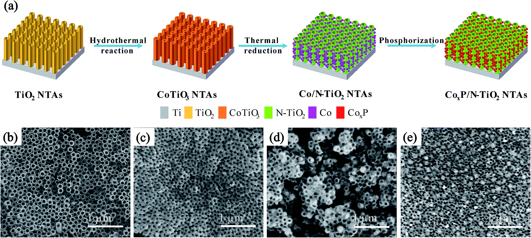 N Doped Tio 2 Nanotube Arrays With Uniformly Embedded Co X P Nanoparticles For High Efficiency Hydrogen Evolution Reaction Rsc Advances Rsc Publishing Doi 10 1039 C9raf