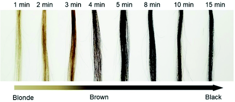 Rapid preparation of polydopamine coating as a multifunctional hair dye -  RSC Advances (RSC Publishing) DOI:10.1039/C9RA03177D