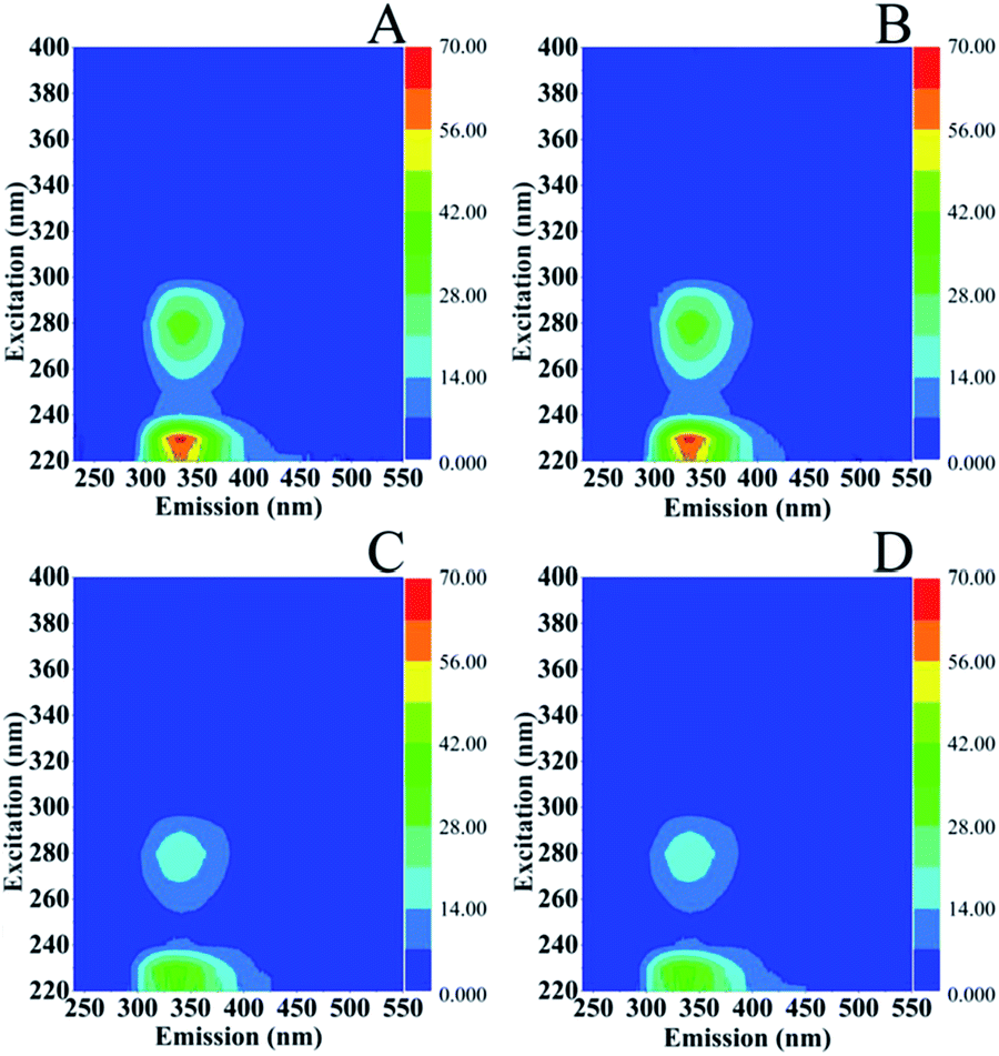 Photosensitivity Responses Of Sagittula Stellata Probed By Ftir Fluorescence And Raman Microspectroscopy Rsc Advances Rsc Publishing Doi 10 1039 C9raj