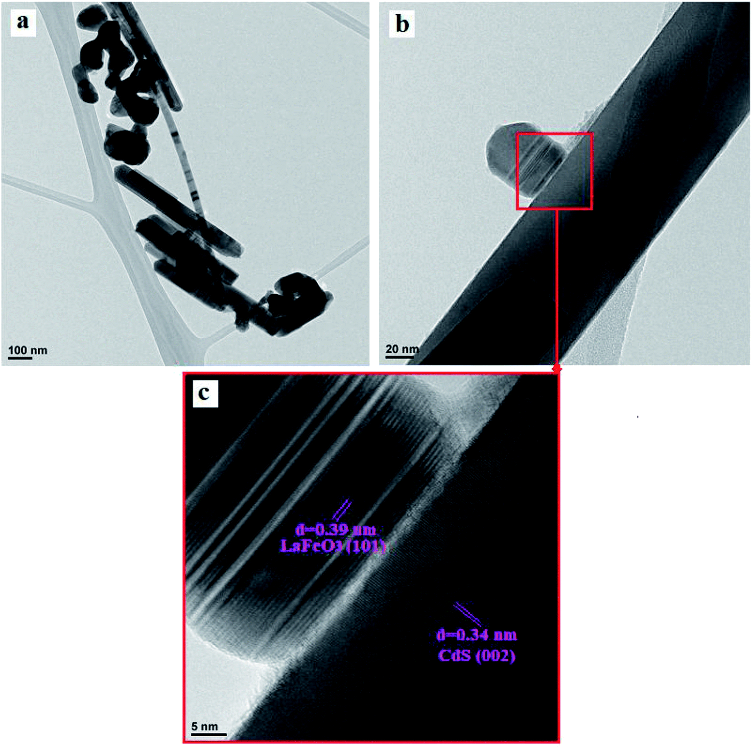 A novel n-type CdS nanorods/p-type LaFeO 3 heterojunction 