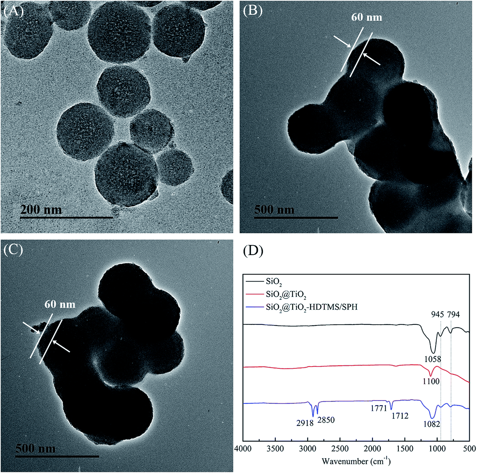 PHB/PCL fibrous membranes modified with SiO 2 @TiO 2 -based core 