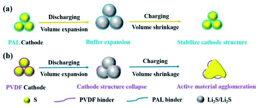 Stabilizing cathode structure via the binder material with high resilience  for lithium–sulfur batteries - RSC Advances (RSC Publishing)  DOI:10.1039/C9RA08238G