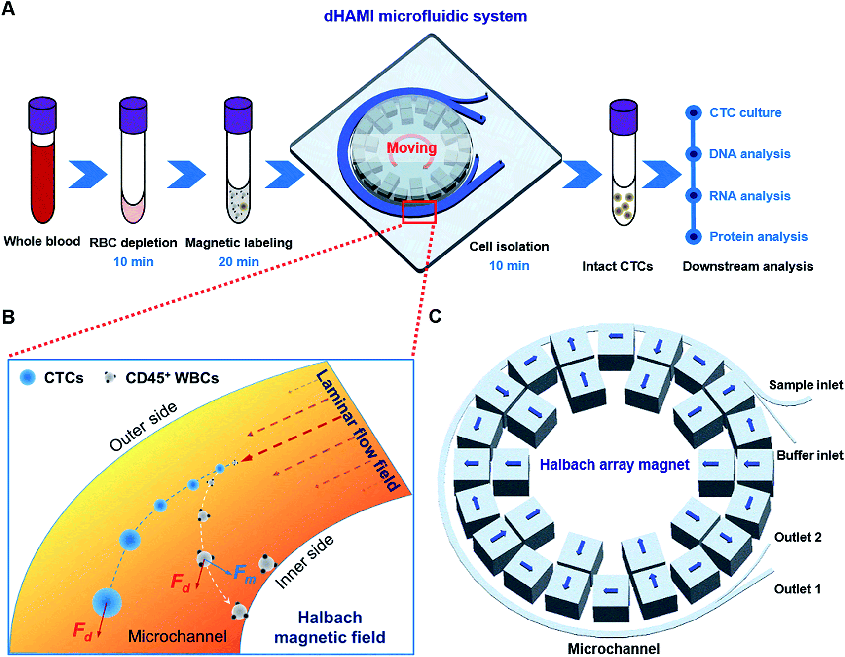 Dynamic Halbach array magnet integrated microfluidic system for the  continuous-flow separation of rare tumor cells - RSC Advances (RSC  Publishing) DOI:10.1039/C9RA08285A