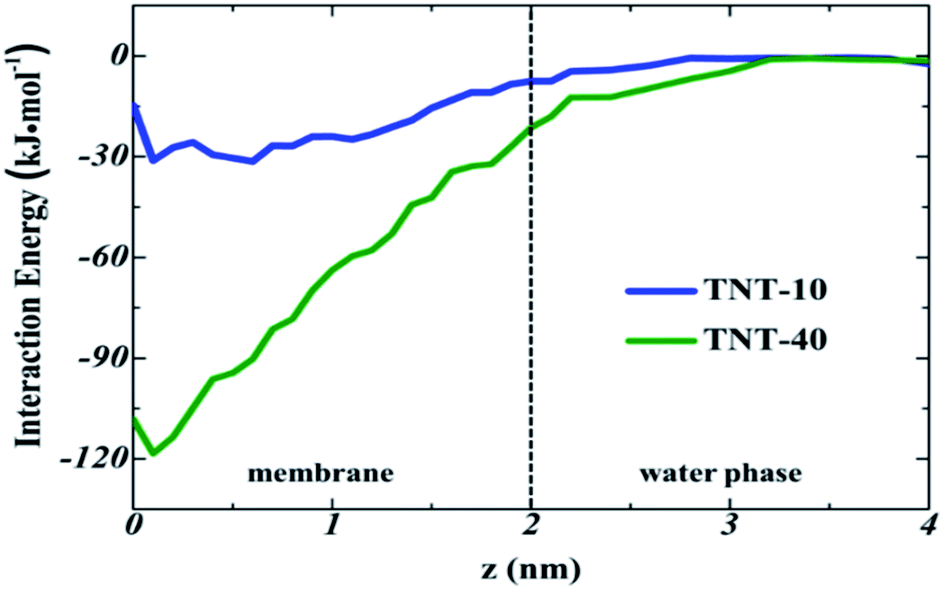 Collective Absorption Of 2 4 6 Trinitrotoluene Into Lipid Membranes And Its Effects On Bilayer Properties A Computational Study Rsc Advances Rsc Publishing Doi 10 1039 C9rah