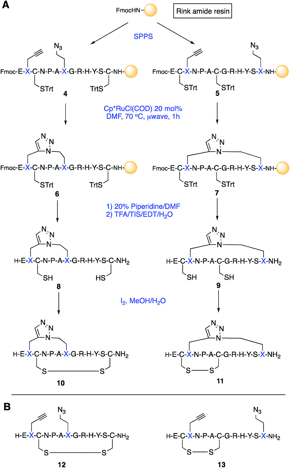 A Conotoxin Gi Triazole Peptidomimetics Potent And Stable Blockers Of A Human Acetylcholine Receptor Chemical Science Rsc Publishing Doi 10 1039 C8sca