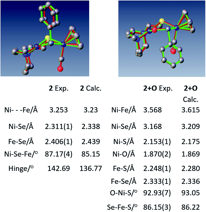 Oxygen Uptake In Complexes Related To Nifes And Nifese Hydrogenase Active Sites Chemical Science Rsc Publishing Doi 10 1039 C8sch