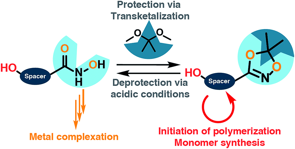 A general concept for the introduction of hydroxamic acids into polymers -  Chemical Science (RSC Publishing) DOI:10.1039/C9SC02557J