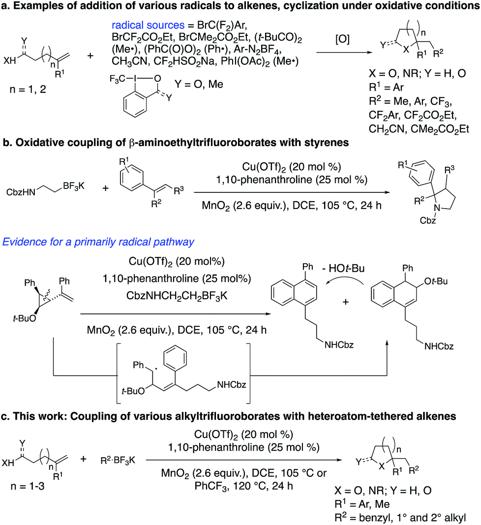 Saturated Oxygen And Nitrogen Heterocycles Via Oxidative Coupling Of Alkyltrifluoroborates With Alkenols Alkenoic Acids And Protected Alkenylamines Chemical Science Rsc Publishing Doi 10 1039 C9sc025h