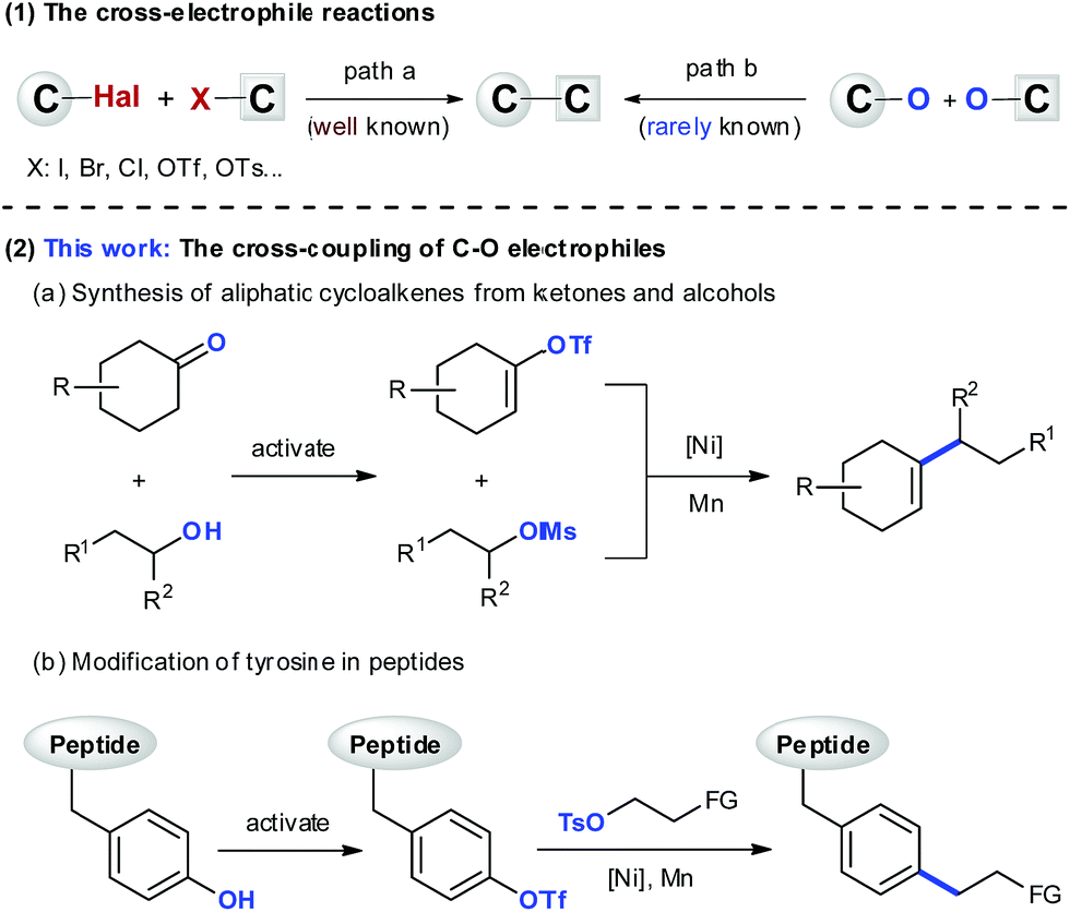 Ni-catalyzed cross-electrophile coupling between vinyl/aryl and alkyl  sulfonates: synthesis of cycloalkenes and modification of peptides -  Chemical Science (RSC Publishing) DOI:10.1039/C9SC03347E