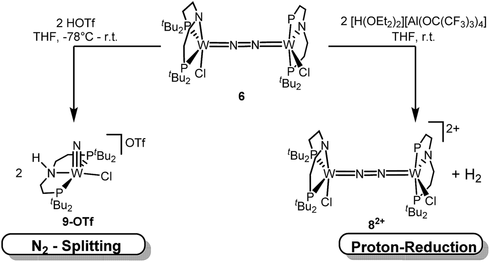 Selectivity of tungsten mediated dinitrogen splitting vs. proton reduction  - Chemical Science (RSC Publishing) DOI:10.1039/C9SC03779A