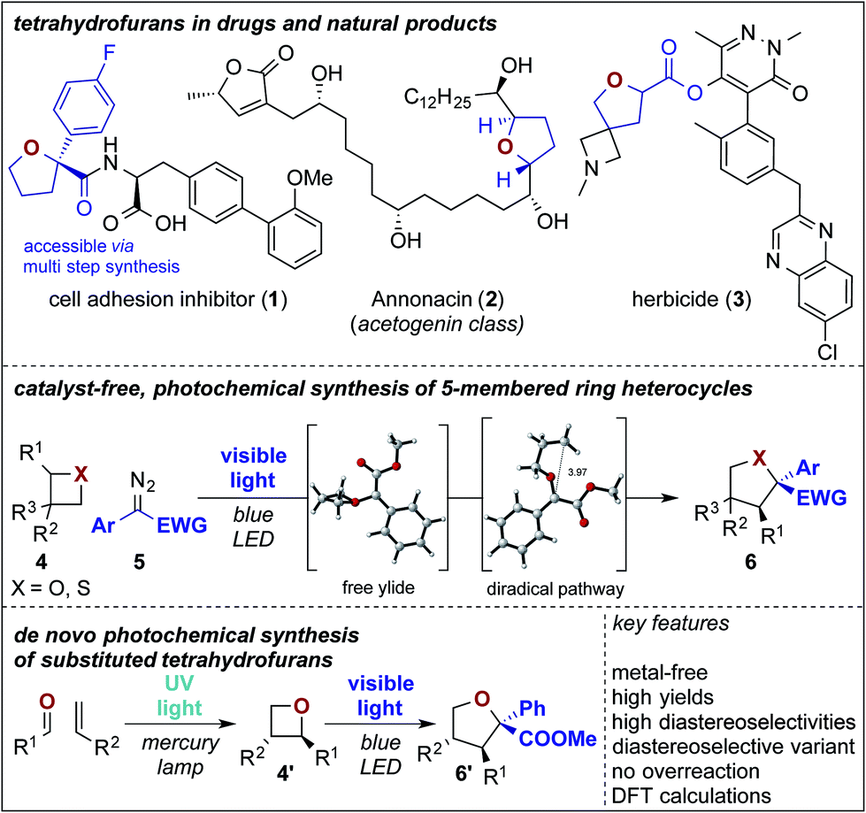 Metal-free aza-Claisen type ring expansion of vinyl aziridines: an  expeditious synthesis of seven membered N-heterocycles - Organic &  Biomolecular Chemistry (RSC Publishing) DOI:10.1039/C8OB03029D