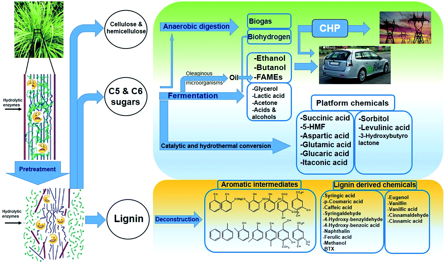 Cellulose solvent-based pretreatment enhanced second-generation production: review - Sustainable Energy & Fuels (RSC Publishing)
