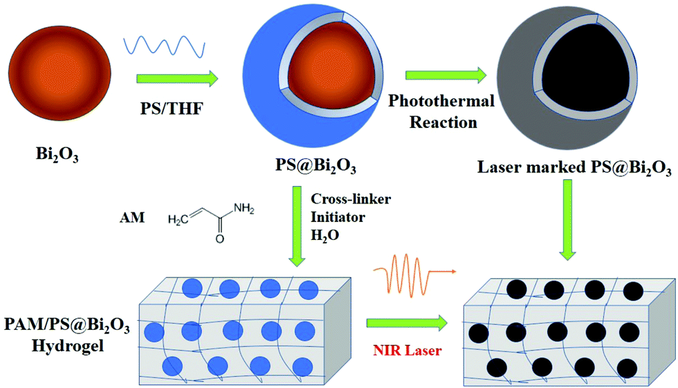 Preparation of near-infrared laser responsive hydrogels with enhanced laser  marking performance - Soft Matter (RSC Publishing) DOI:10.1039/C8SM02635A
