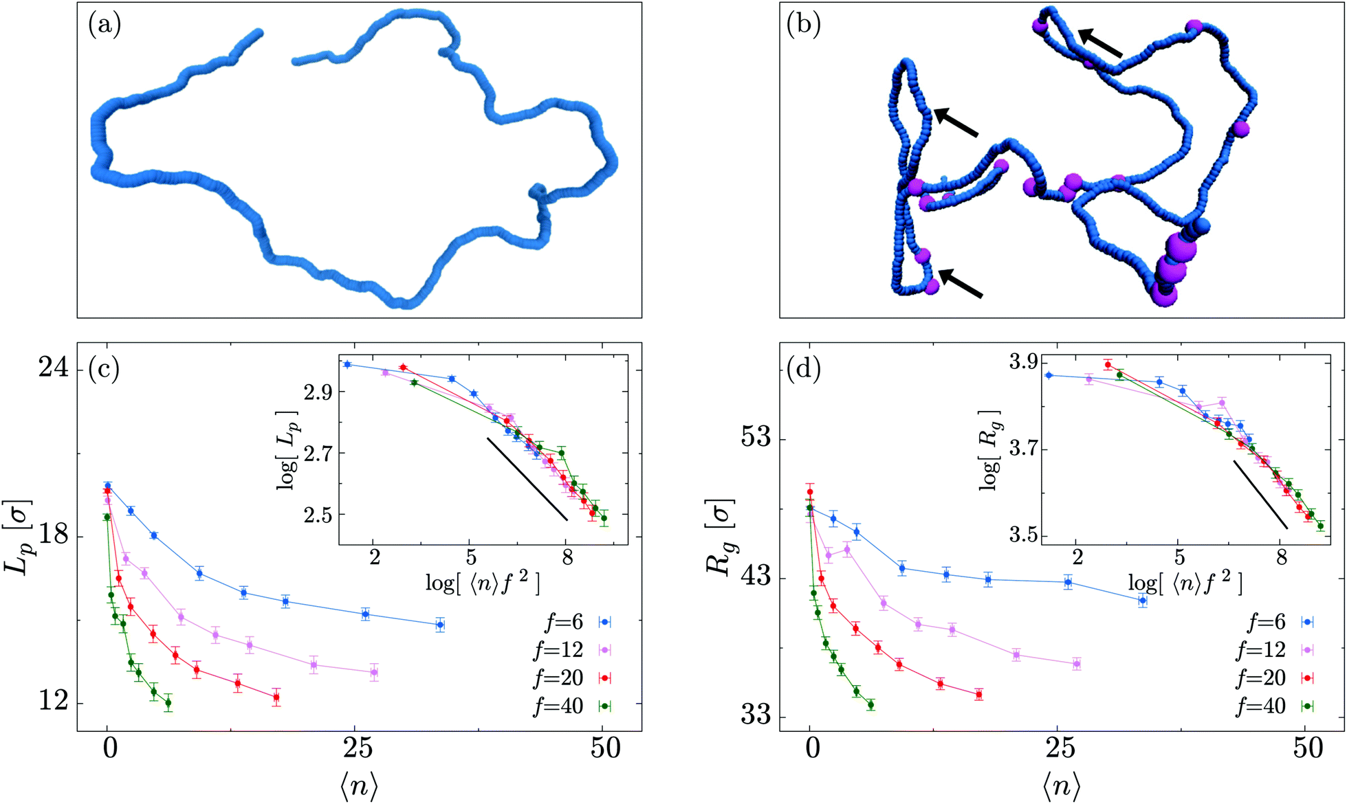 Non Equilibrium Effects Of Molecular Motors On Polymers Soft Matter Rsc Publishing Doi 10 1039 C9sma