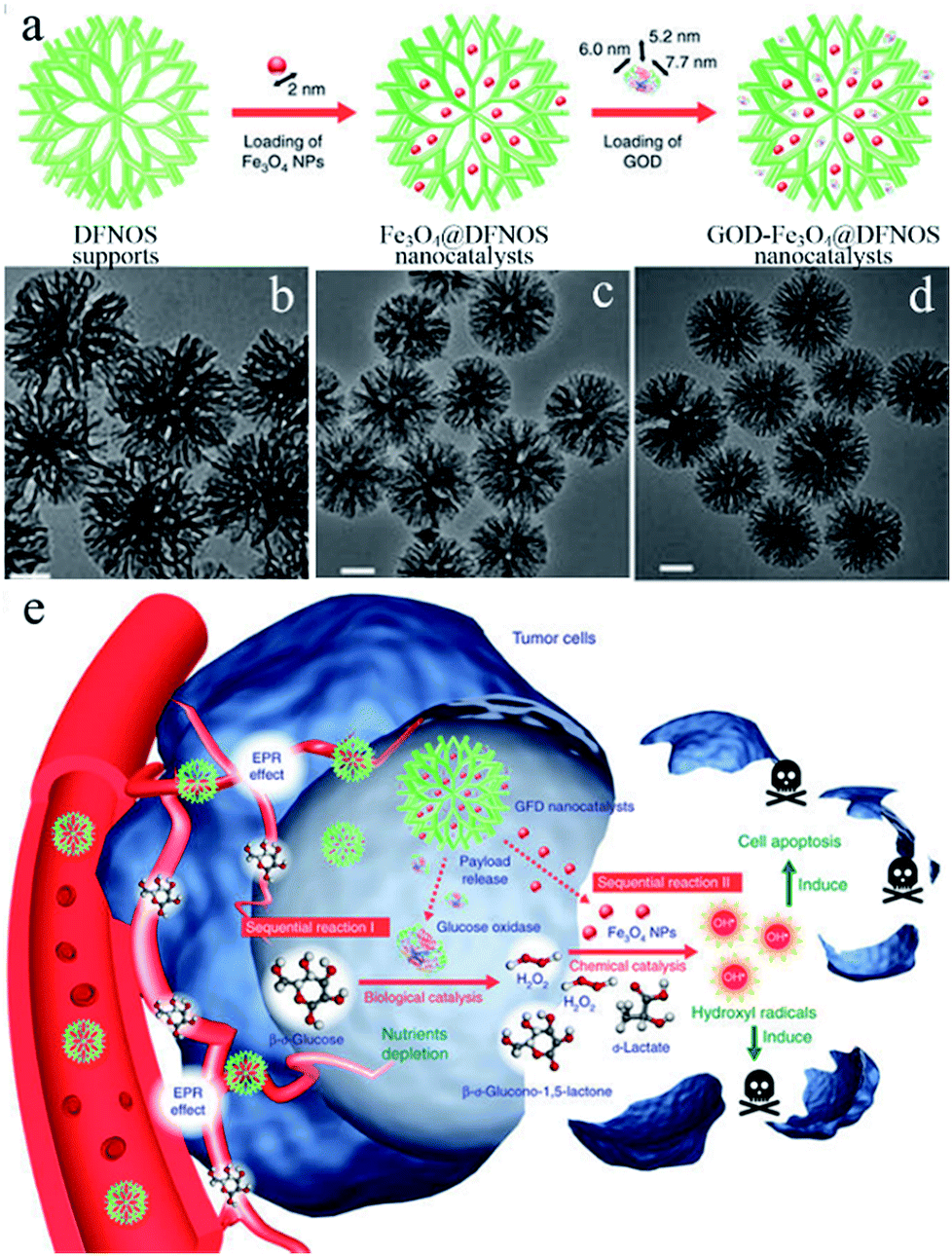 Dendritic fibrous nano-particles (DFNPs): rising stars of mesoporous  materials - Journal of Materials Chemistry A (RSC Publishing)  DOI:10.1039/C8TA09815H