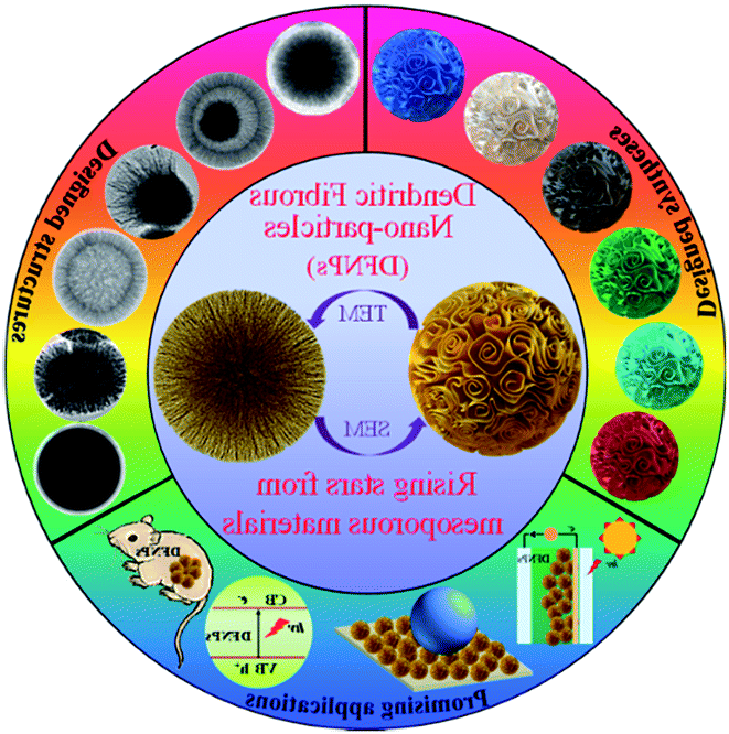 Dendritic Fibrous Nano Particles Dfnps Rising Stars Of