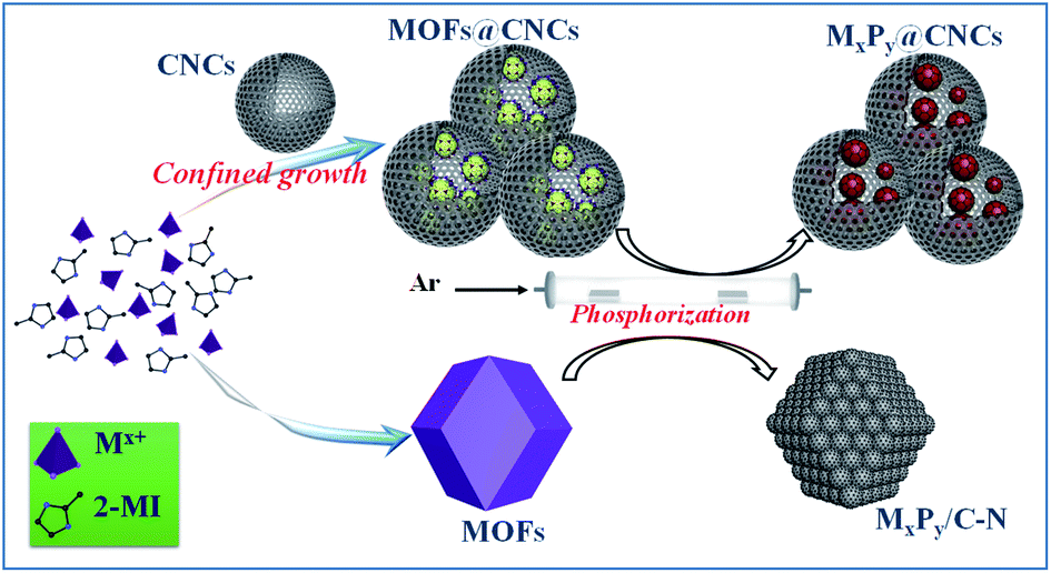 Cage Structured M X P Y Cncs M Co And Zn From Mof Confined Growth In Carbon Nanocages For Superior Lithium Storage And Hydrogen Evolution Perform Journal Of Materials Chemistry