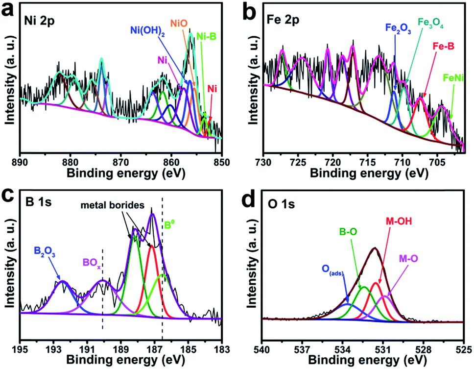 One-step solid-phase boronation to fabricate self-supported