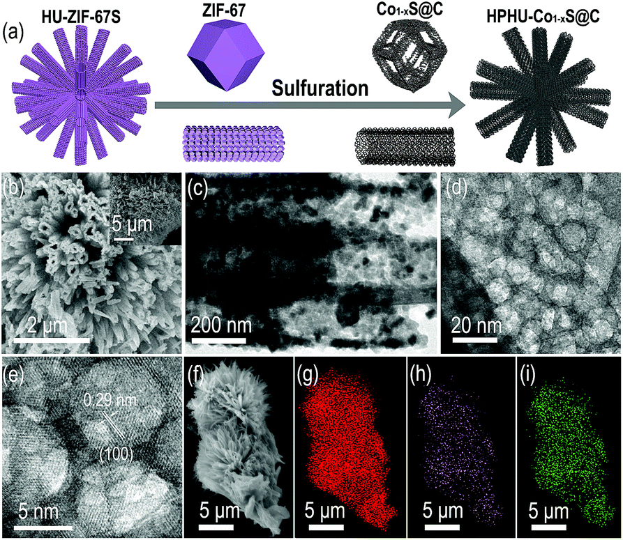 3d Hierarchical Porous Co 1 X S C Derived From A Zif 67 Single Crystals Self Assembling Superstructure With Superior Pseudocapacitance Journal Of Materials Chemistry A Rsc Publishing Doi 10 1039 C9taa