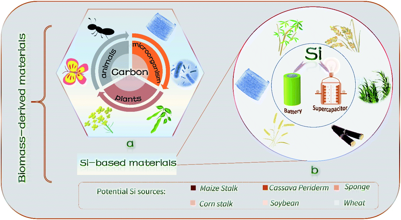 Si-based materials derived from biomass: synthesis and 