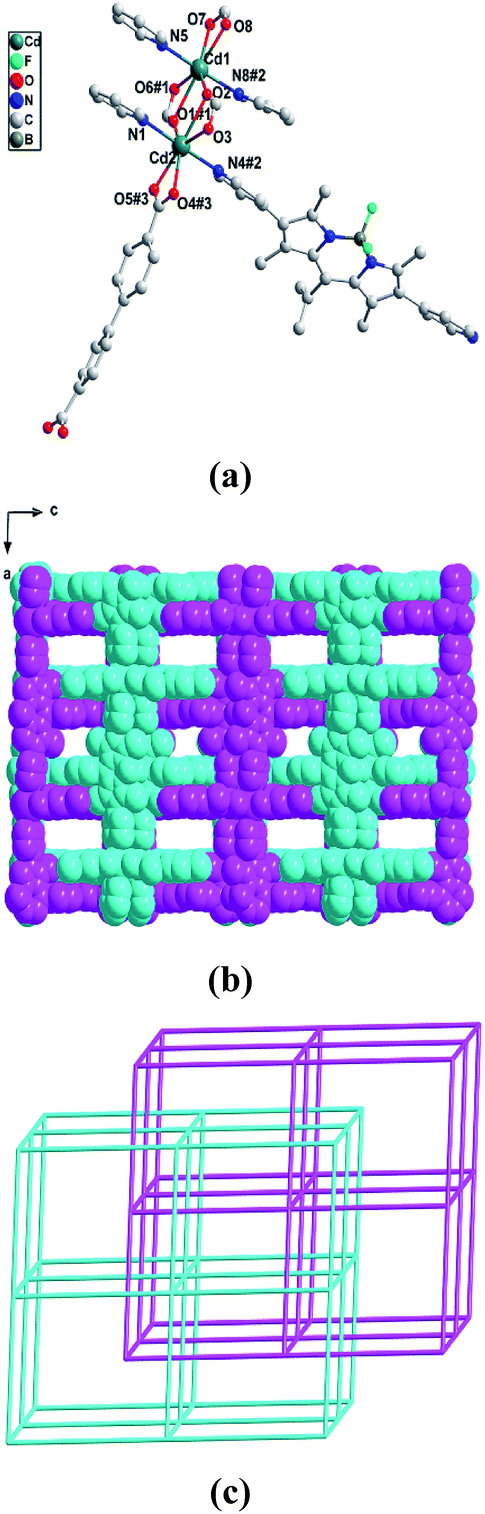 A noble-metal-free photocatalyst system obtained using A noble-metal-free photocatalyst system obtained using