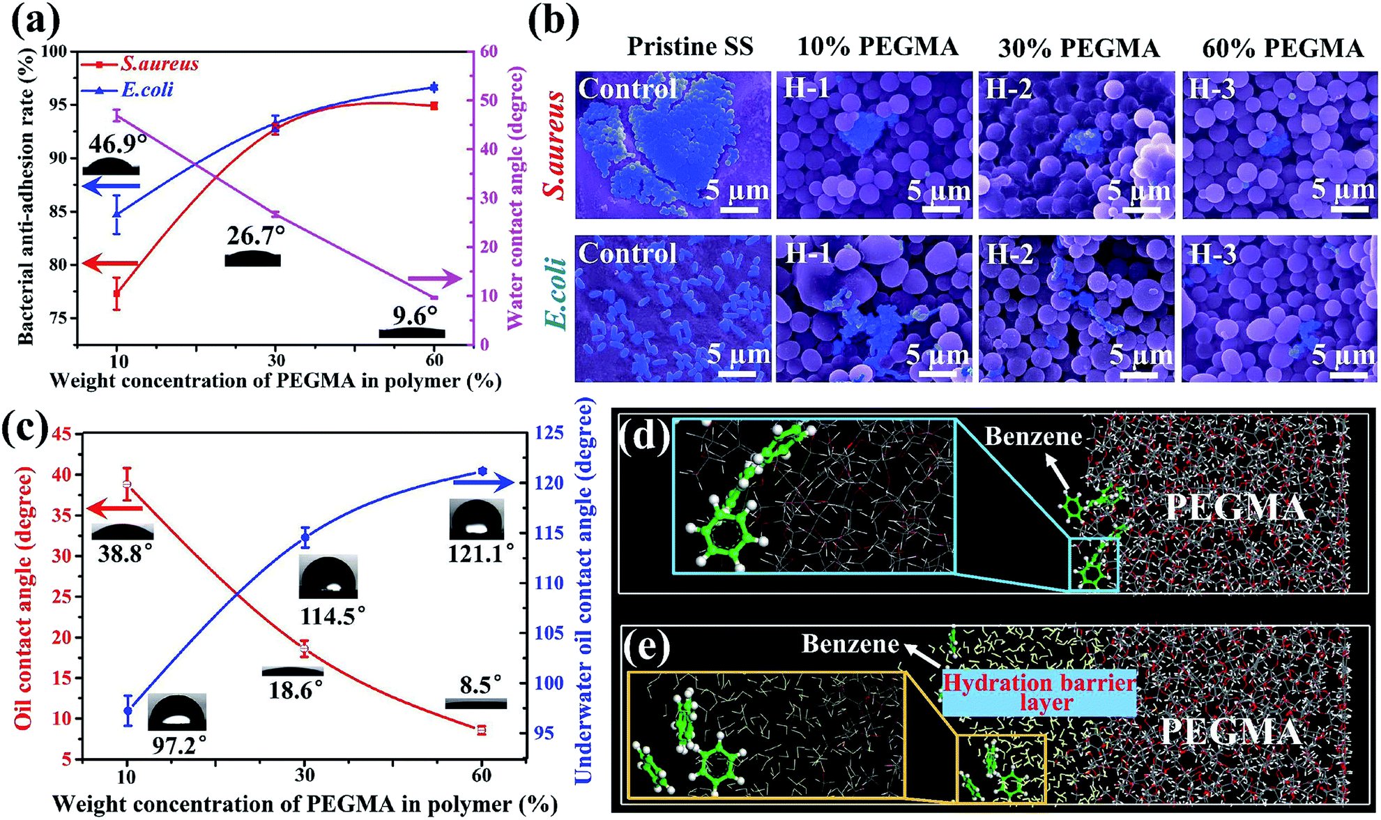 A new anti-biofilm strategy of enabling arbitrary surfaces of