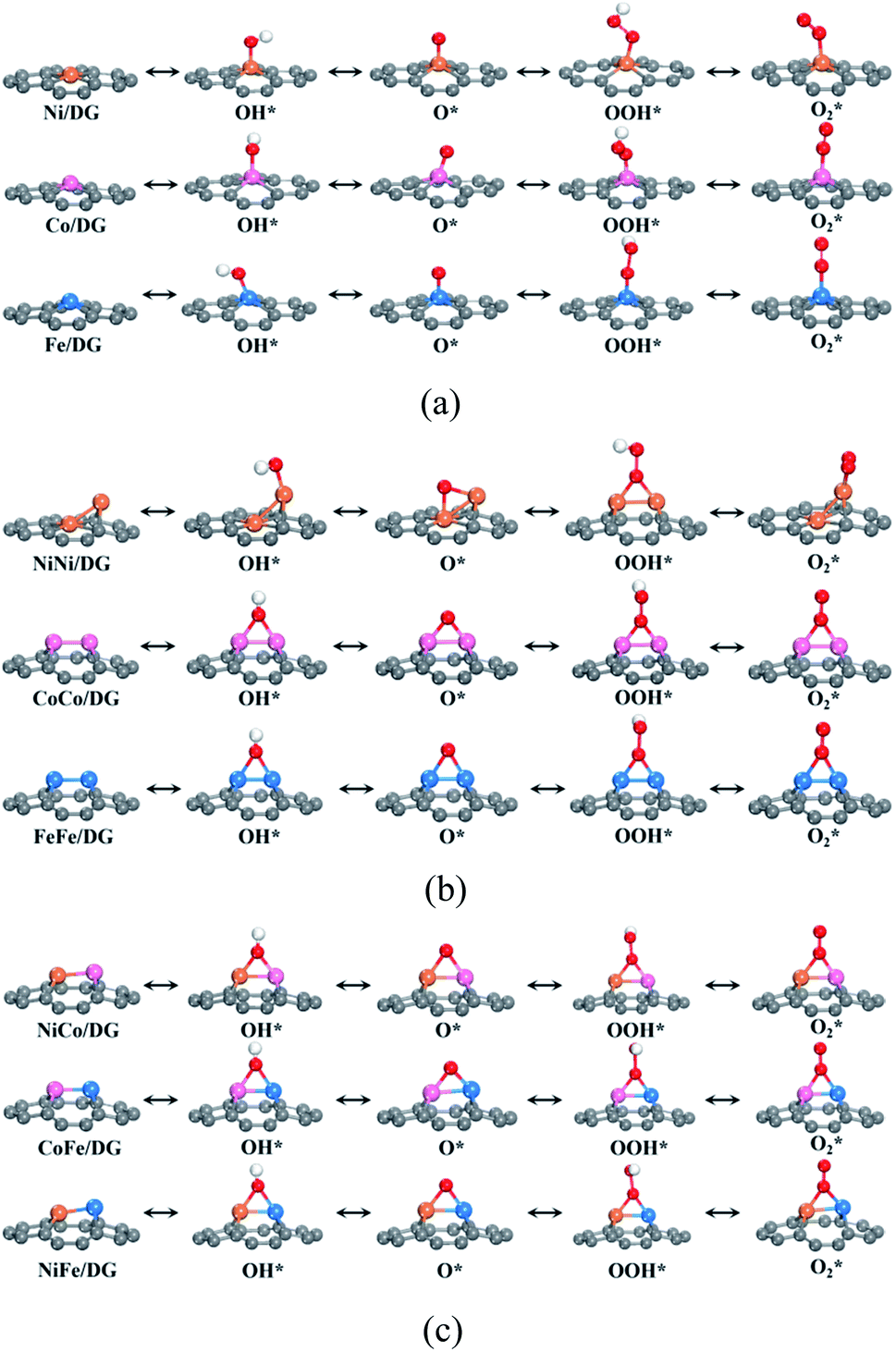 Hydroxyl group modification improves the electrocatalytic