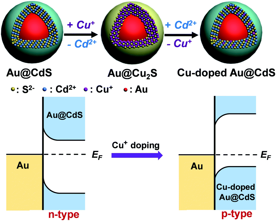 Electronic Doping Enabled Transition From N To P Type Conductivity Over Au Cds Core Shell Nanocrystals Toward Unassisted Photoelectrochemical Water S Journal Of Materials Chemistry A Rsc Publishing Doi 10 1039 C9tad