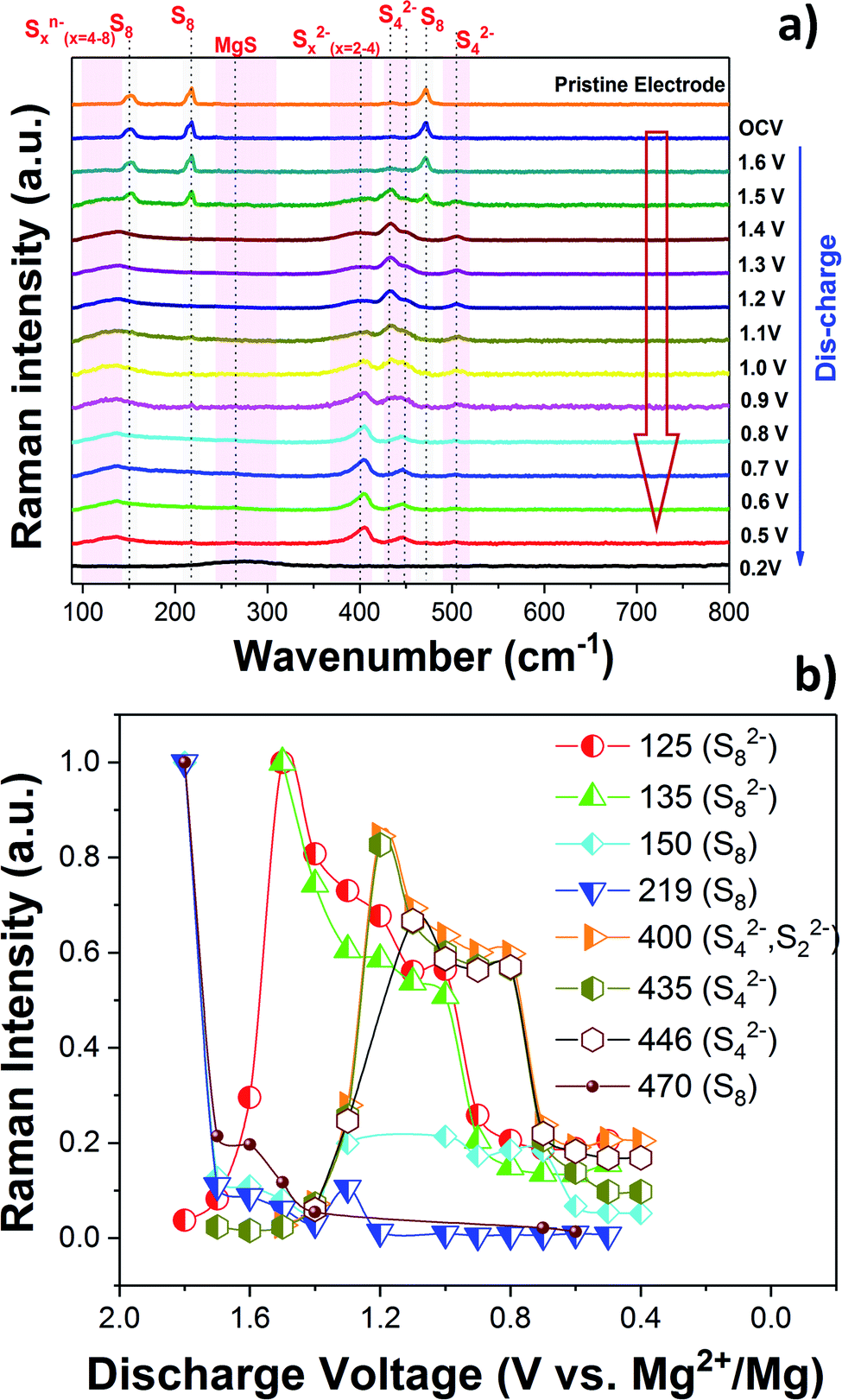 The Key Role of Magnesium Polysulfides in the Development of Mg-S Batteries