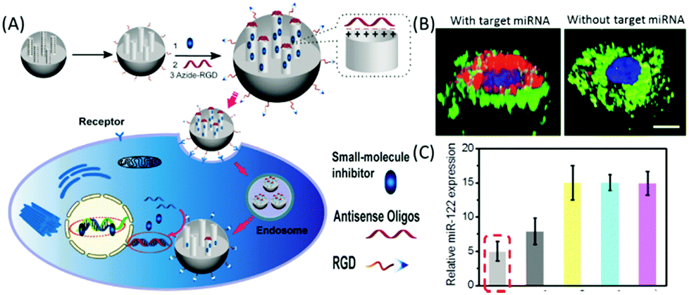 Frontiers | The Extracellular Matrix Enriched With Exosomes