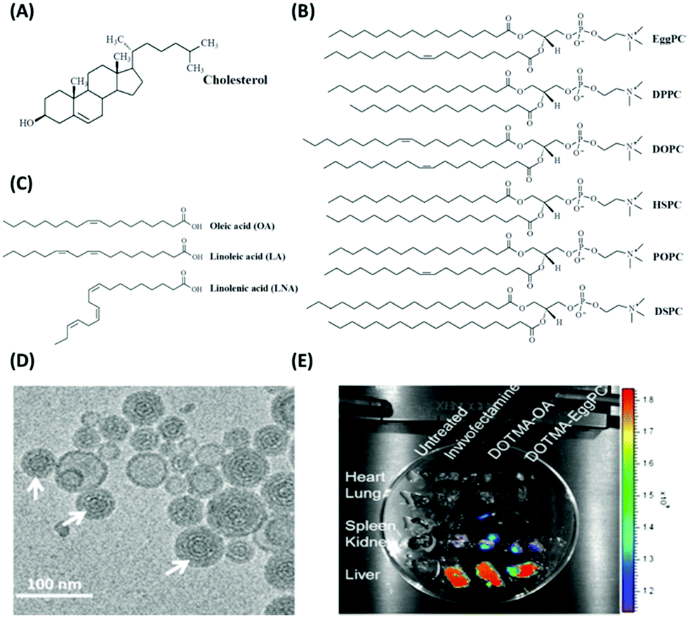 Non-viral nanocarriers for intracellular delivery of microRNA 