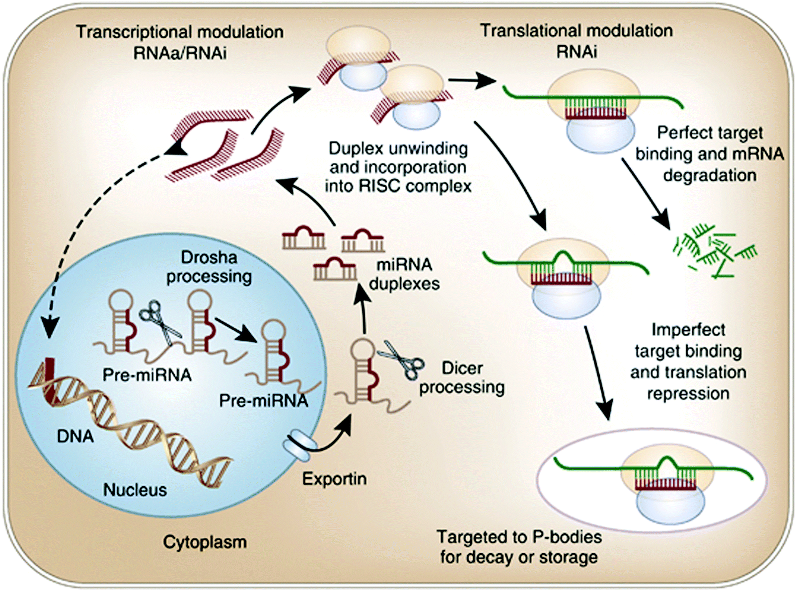 Advanced liquid biopsy technologies for circulating