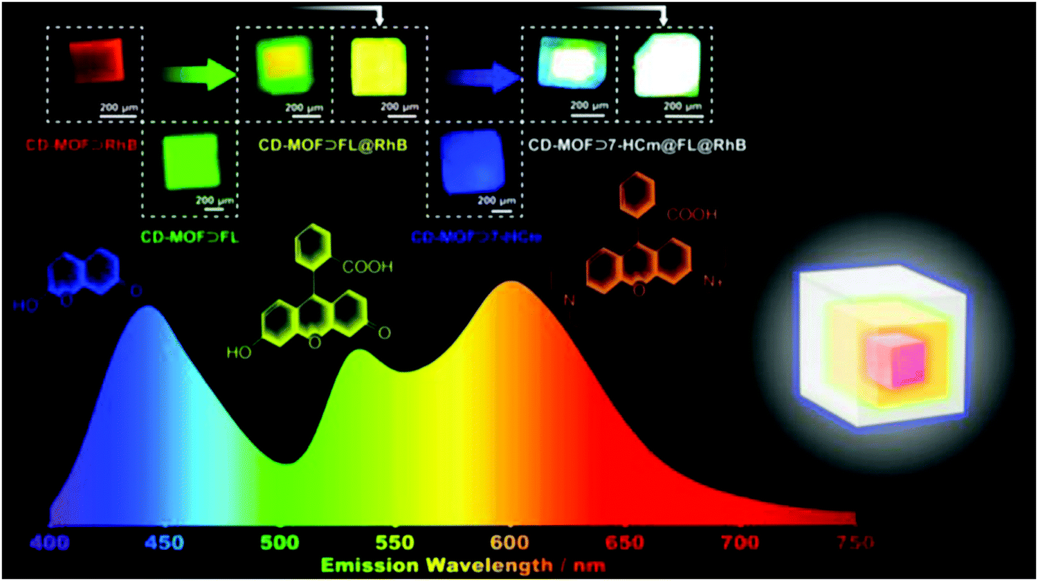 Recent progress in the synthesis, structural diversity and