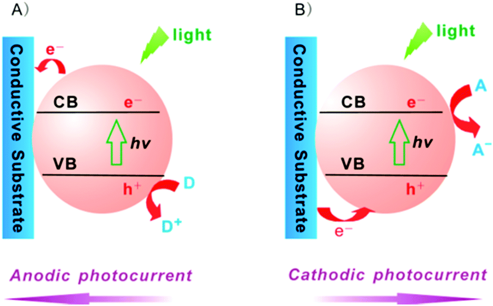 Recent developments of photoelectrochemical biosensors for Recent developments of photoelectrochemical biosensors for