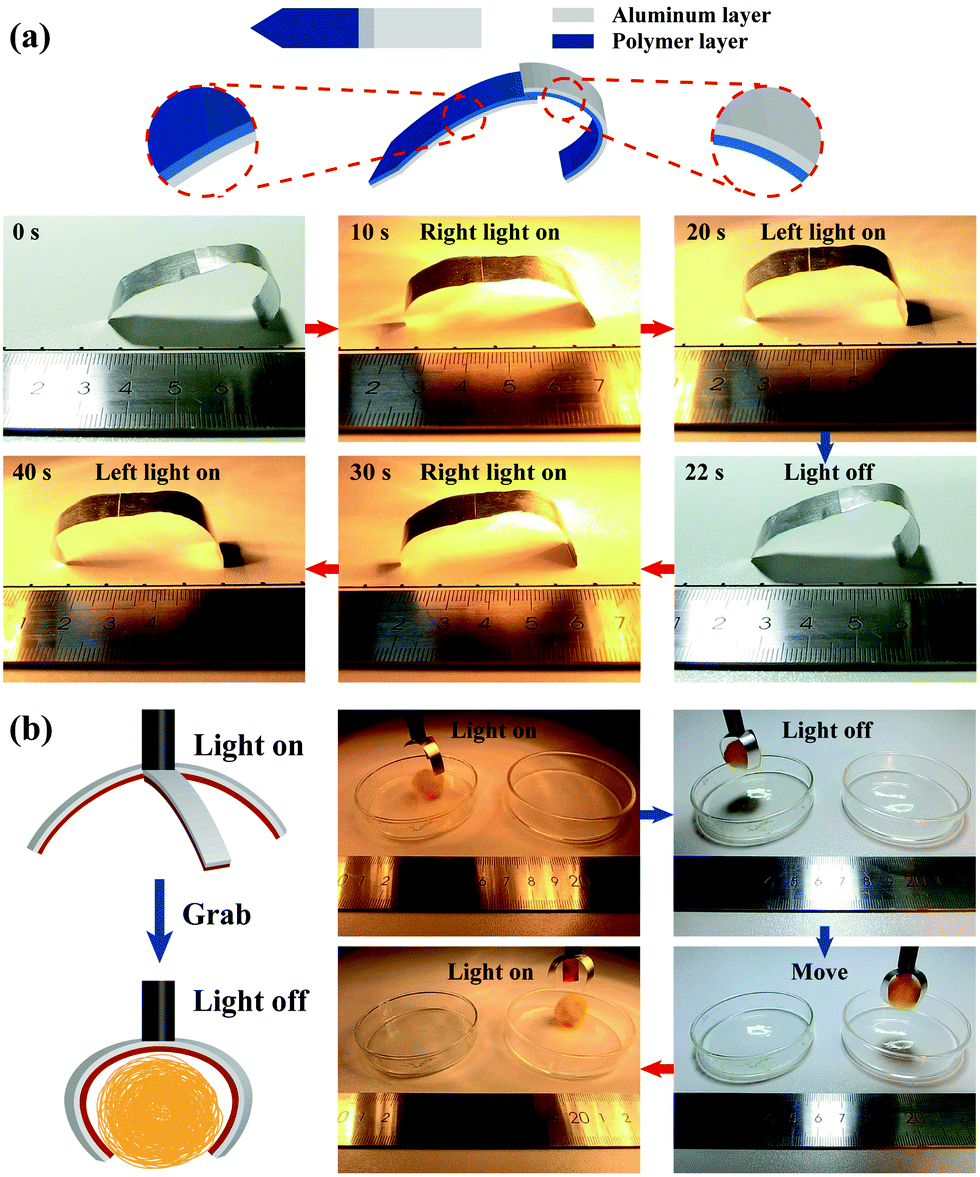 https://pubs.rsc.org/image/article/2019/TC/c9tc01948k/c9tc01948k-f7_hi-res.gif