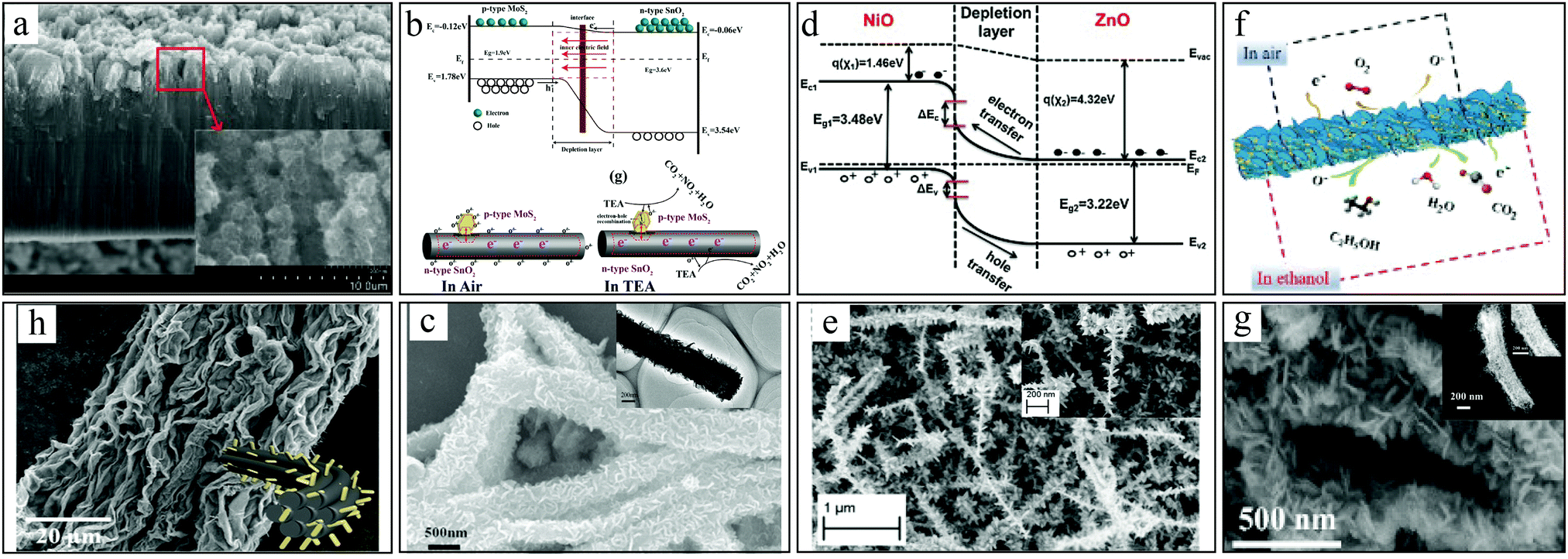 Tunable nanofibril heterojunctions for controlling