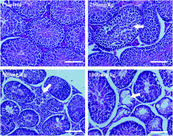 image file: c8tx00178b-f5.tif