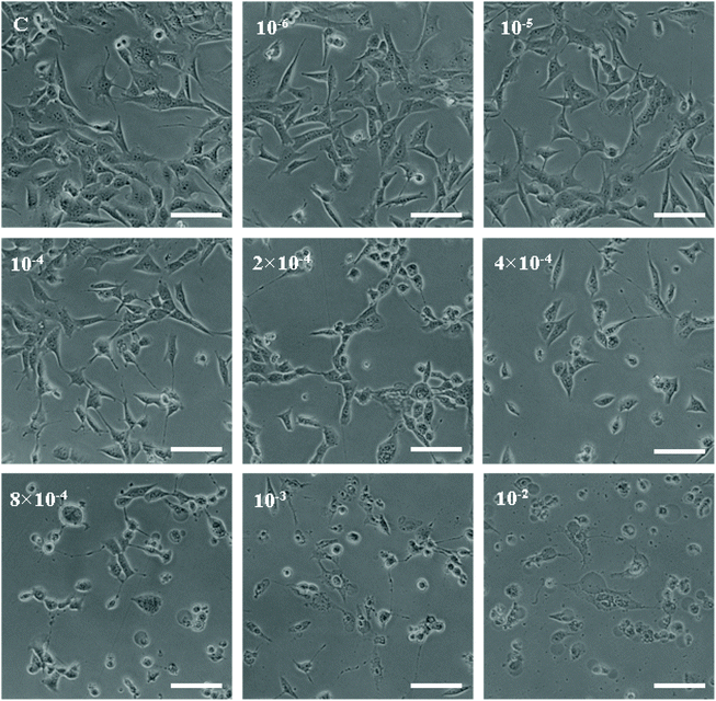 image file: c8tx00178b-f7.tif