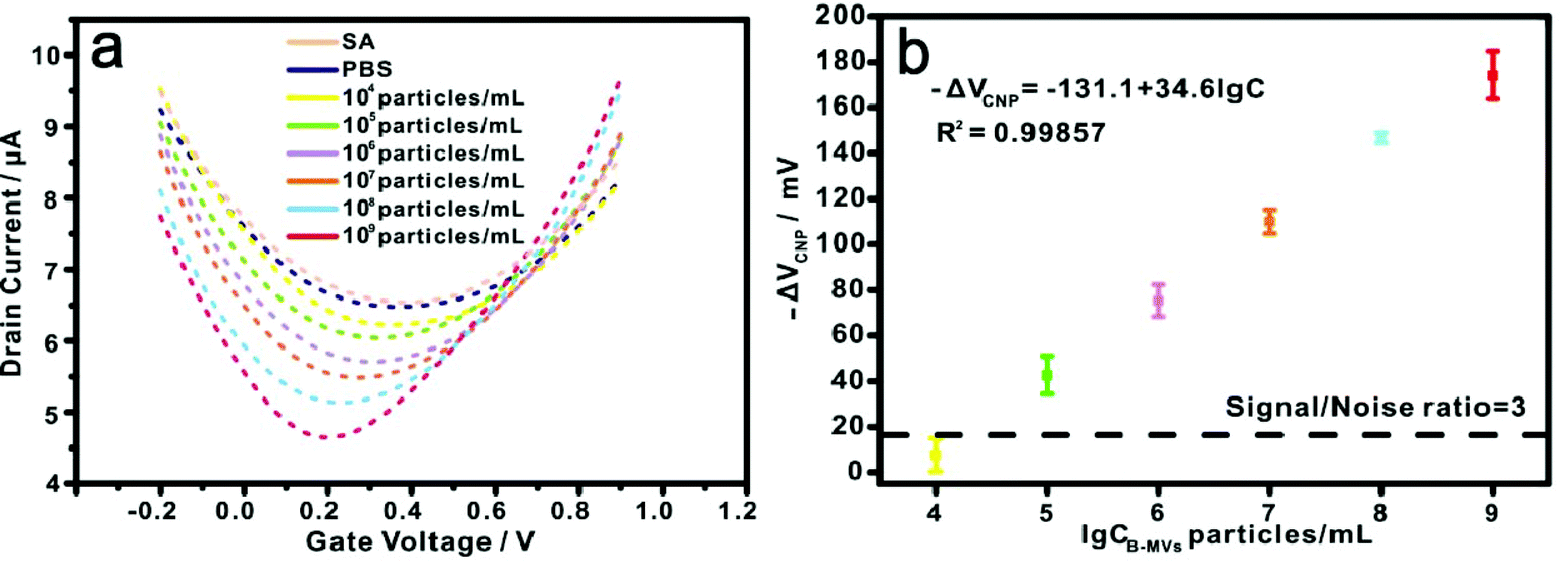 Microvesicle Detection By A Reduced Graphene Oxide Field Effect Transistor Biosensor Based On A Membrane Biotinylation Strategy Analyst Rsc Publishing